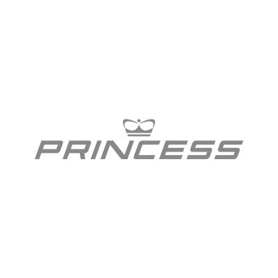 Princess logo